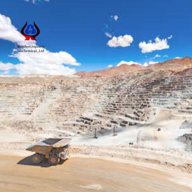 جودة مسحوق أبيض سريع الذوبان CMC الصفية التعدينية مع الطاحونة النهاية للتطبيقات التعدينية الصناعية مصنع